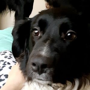 Meet your Posher, Skyler